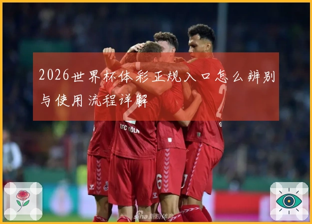 2026世界杯体彩正规入口怎么辨别与使用流程详解